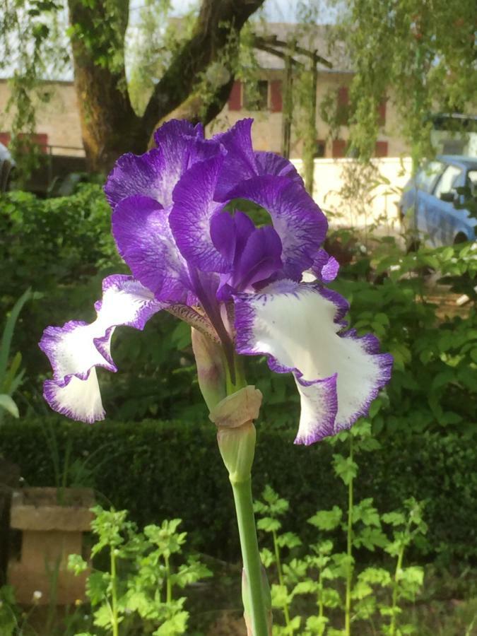 Chez Memere Helene Villa Sormonne ภายนอก รูปภาพ